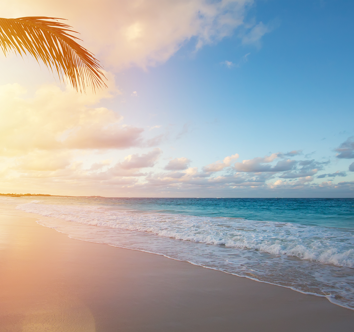 Senior Consultant Radiologist in Body/Cardiac Imaging, Doha, Jobs, 10972